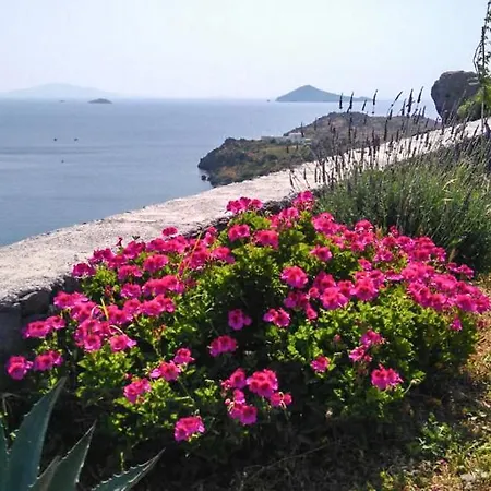 Villa Meloi Pool *